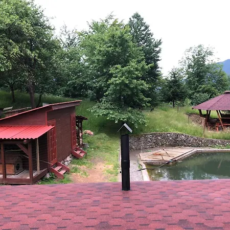 Chalet екоферма семенюк
