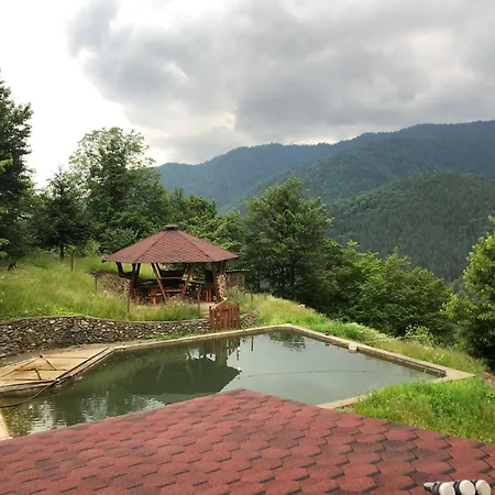 Шале екоферма семенюк
