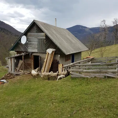 Chalet екоферма семенюк *