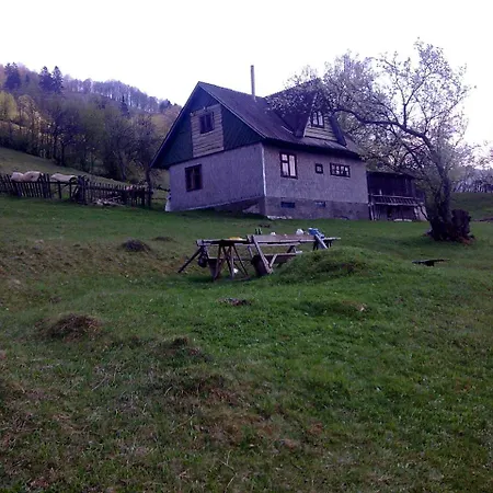 Chalet екоферма семенюк