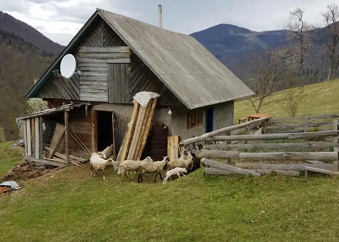 Chalet екоферма семенюк *