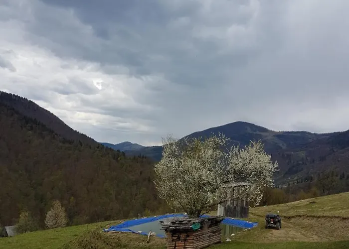 екоферма семенюк Chalet *
