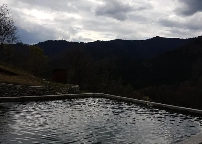екоферма семенюк Chalet