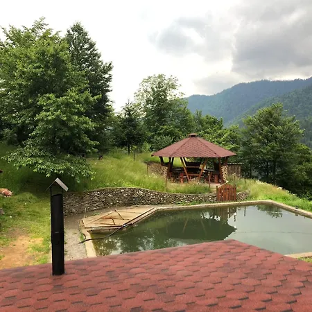 екоферма семенюк 木屋