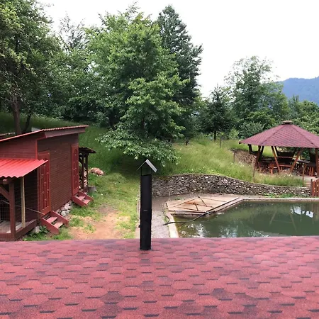 екоферма семенюк Шале Kostylivka