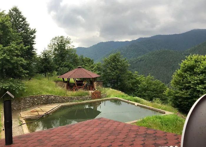 木屋 екоферма семенюк