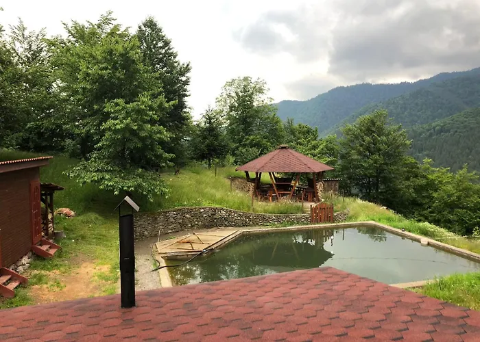 екоферма семенюк 木屋