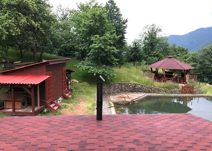 екоферма семенюк 木屋 Kostylivka