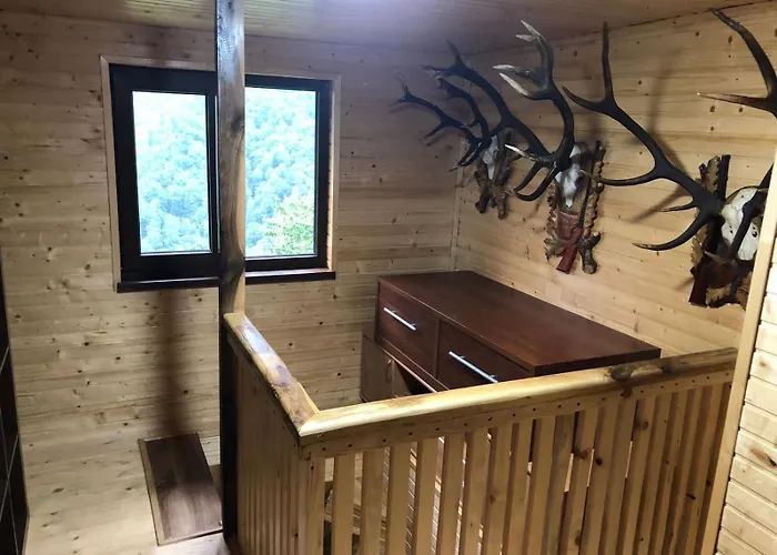 екоферма семенюк 木屋 Kostylivka