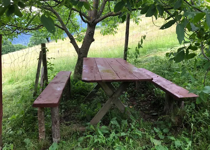 екоферма семенюк 木屋