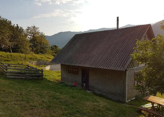 екоферма семенюк 木屋