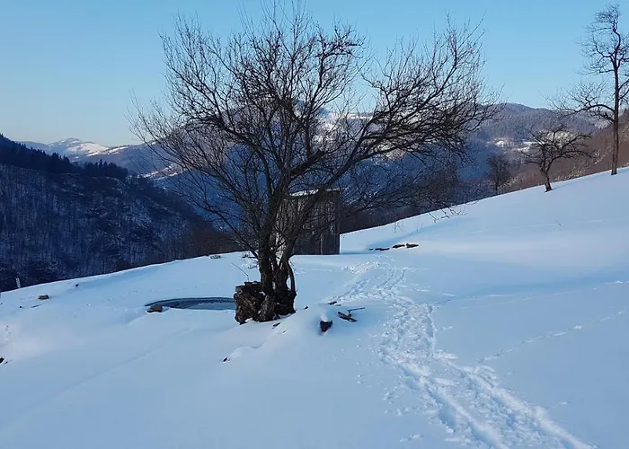 木屋 екоферма семенюк *
